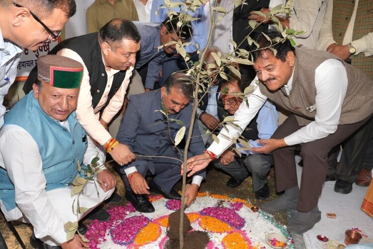 CM Sukhu inaugurated 'Van Mahotsav'