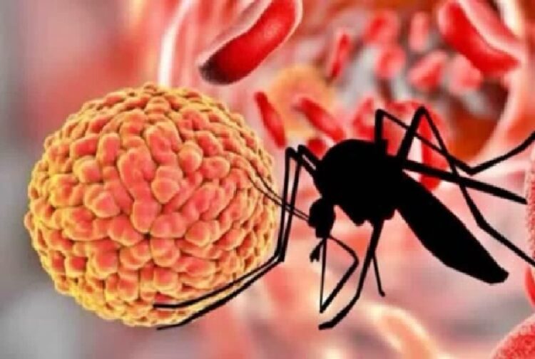 Dengue Cases Increased in Sirmaur