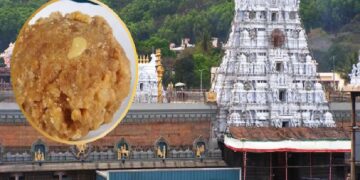 Tirupati Prasad Controversy