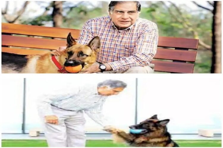 Ratan Tata Passes away