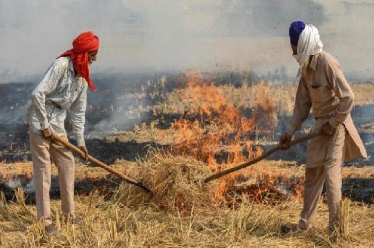 Now the penalty for burning stubble will be doubled.