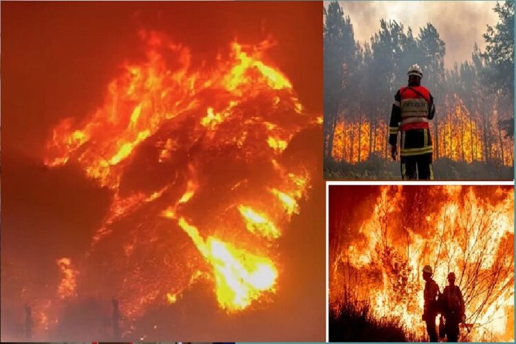 Los Angeles Wildfires