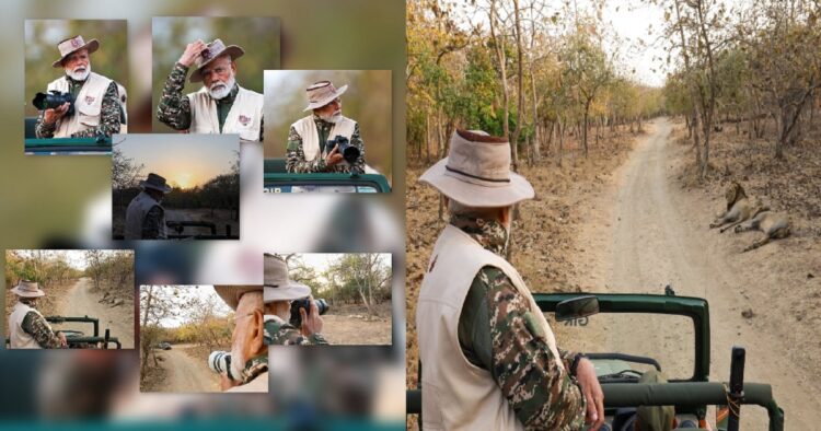 PM Modi at Gir Forest