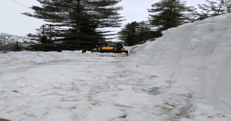 Snowfall in Himachal